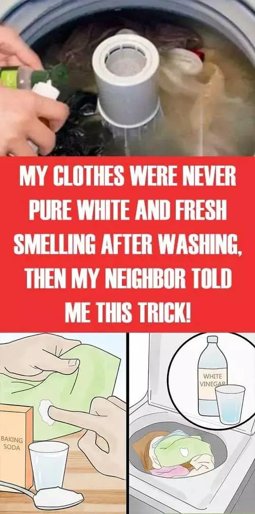 My Clothes Were Never Pure White And Fresh Smelling After