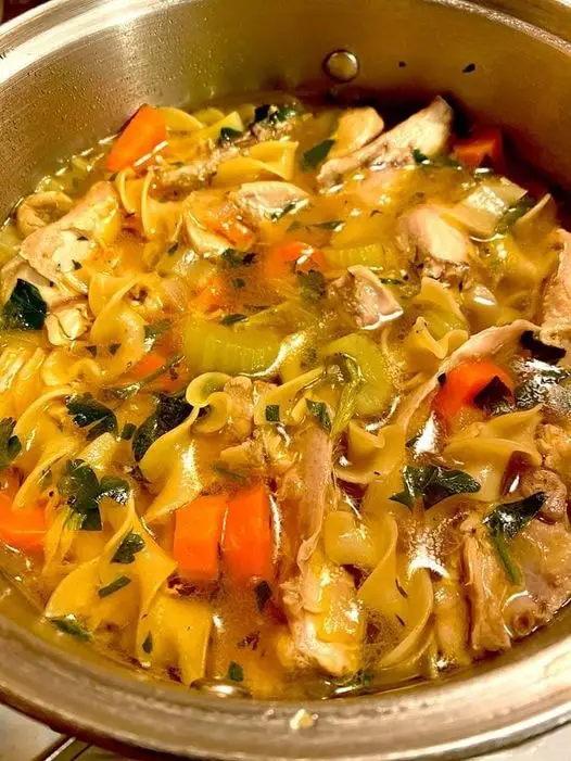 Chicken Noodle Soup Recipe