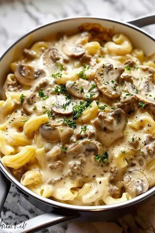 Creamy Beef And Mushroom Macaroni