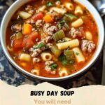 Busy Day Soup