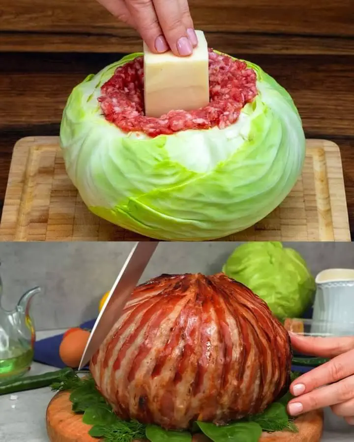 Gourmet Stuffed Cabbage With Creamy Dill Sauce