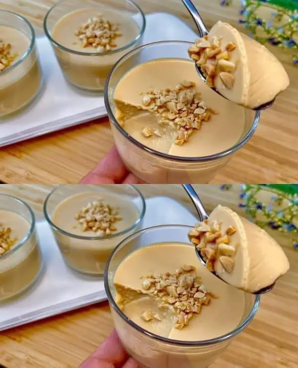 No Bake 3 Ingredient Milk Pudding Dessert!