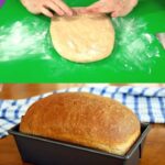 Whole Wheat Bread Recipe