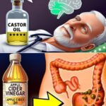 Castor Oil The Miracle You've Been Missing