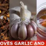 Garlic And Honey A Powerful Home Remedy For Better Health