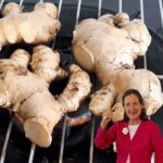 Grilled Ginger Remedysay Goodbye To Back Pain And Neck Stiffness In Just 5 Minutes