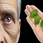 Unbelievable! Mint May Help Prevent Cataracts, Glaucoma, And Improve Vision