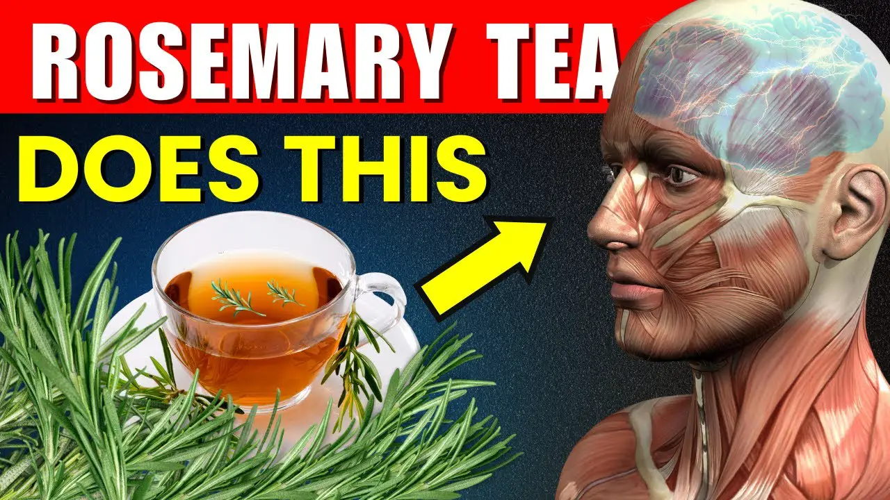 What Happens To Your Body If You Drink Rosemary Tea Daily 10 Reasons To Drink Rosemary Tea Daily