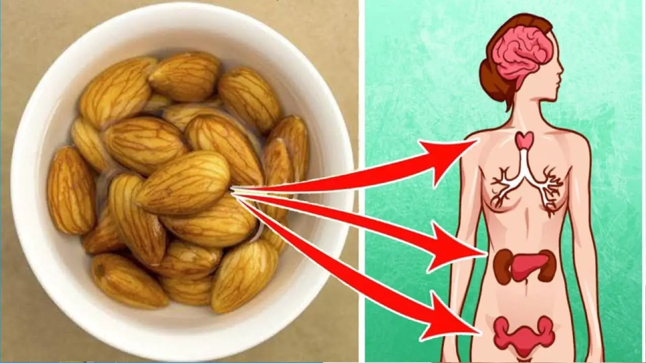 What Really Happens When You Eat Soaked Almonds