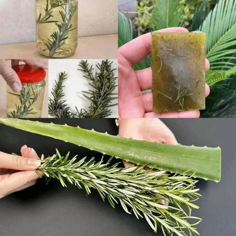 Image 2025 10 21 191906801