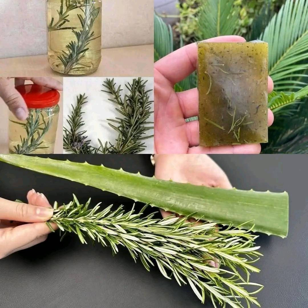 Image 2025 10 21 191906801