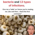 Image 2025 11 01 180229613