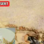 Image 2025 11 02 160415932