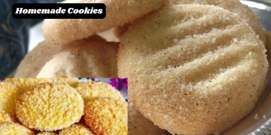 Image 2025 11 03 141202727