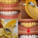 Image 2025 11 06 152522709