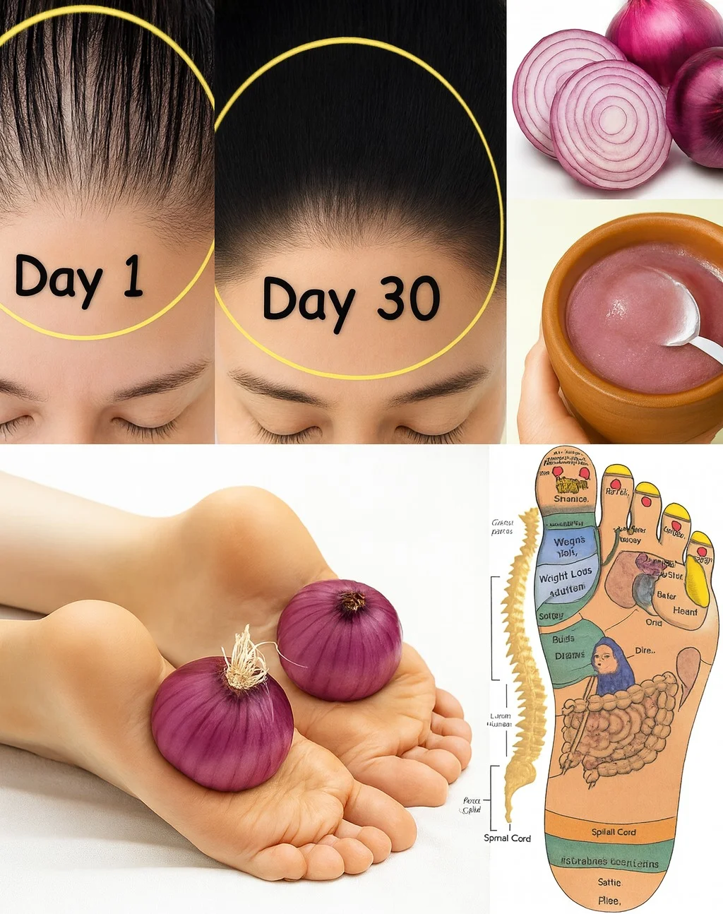 Image 2025 11 08 174812009