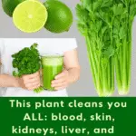 Image 2025 11 13 153825471