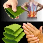 Image 2025 11 14 170252791