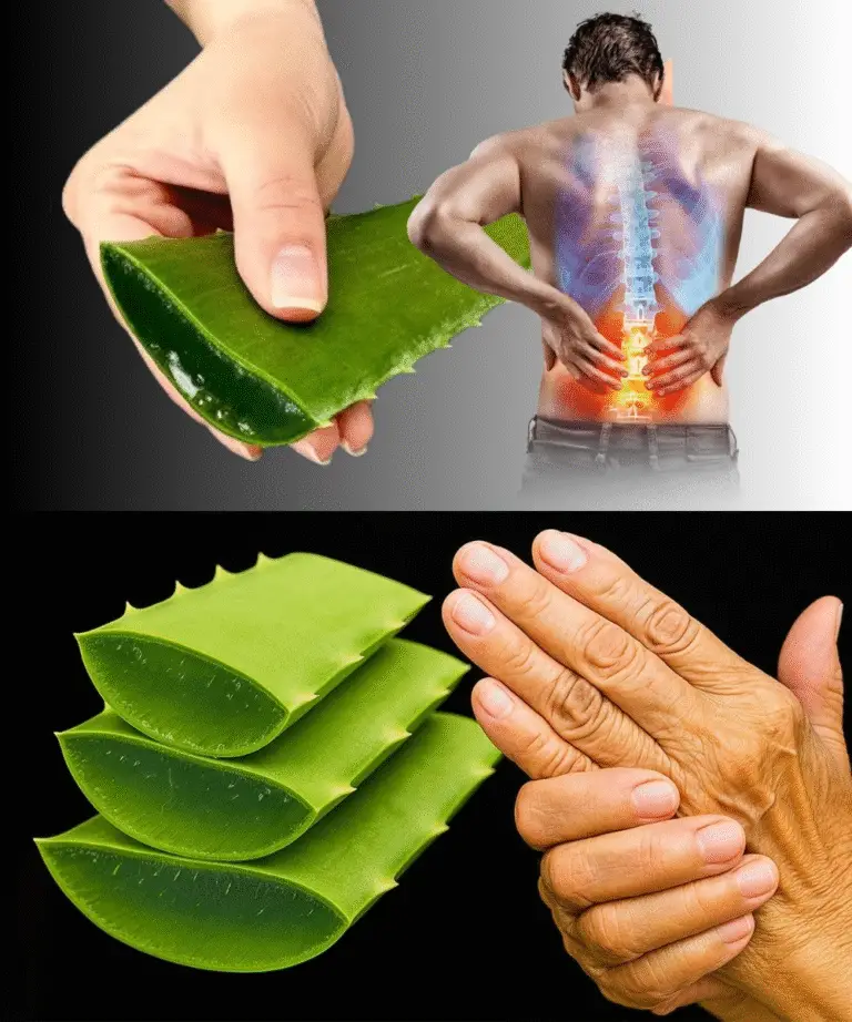 Image 2025 11 14 170252791