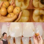 Image 2025 11 15 165117570