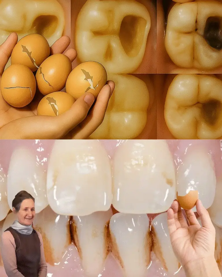 Image 2025 11 15 165117570