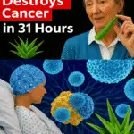 Image 2025 11 20 190407751