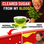 Image 2025 11 21 190414536