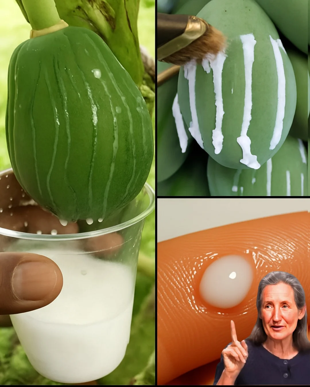 Image 2025 11 23 074735208