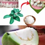 Image 2025 11 25 175022155