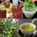 Image 2025 11 26 185454676