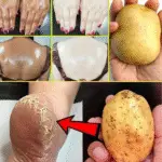 Image 2025 11 30 185637083