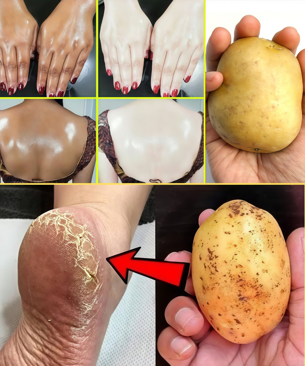 Image 2025 11 30 185637083