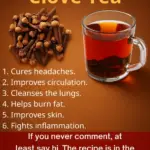 Image 2025 12 24 125158515