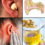 Image 2025 12 27 154557160