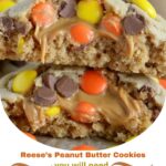 Fb Img 1768956048485