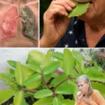 Image 2026 01 03 180227381