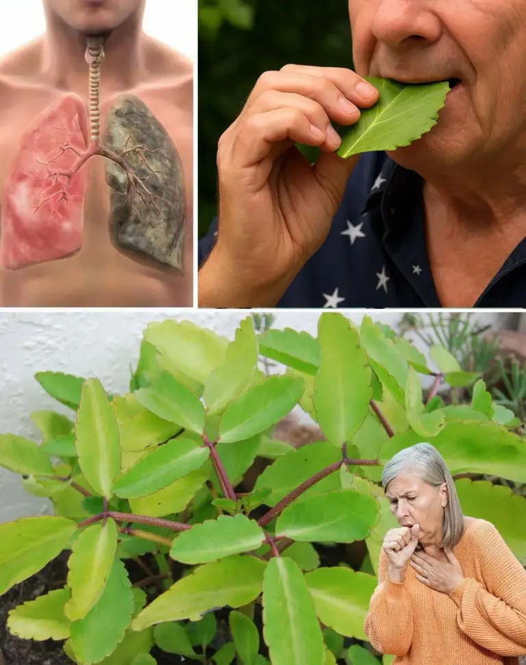 Image 2026 01 03 180227381