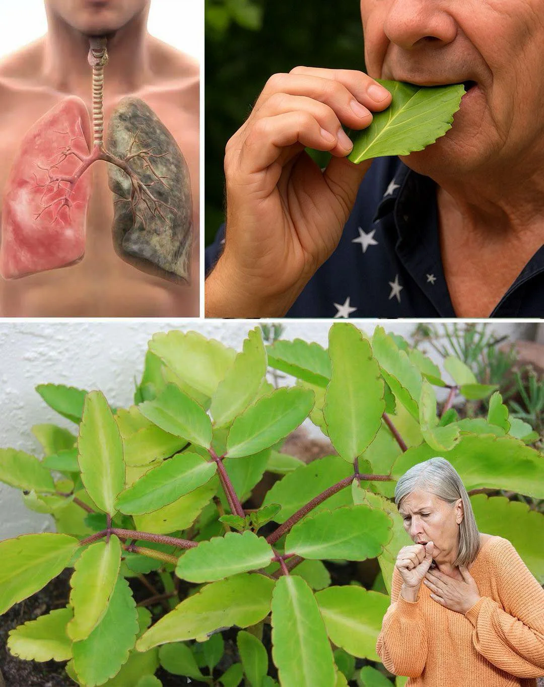 Image 2026 01 03 180227381