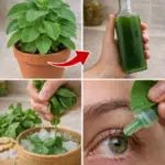 Image 2026 01 06 235209347