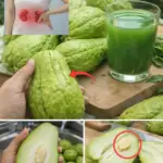 Image 2026 01 10 105323242