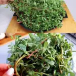 Image 2026 01 14 165226940