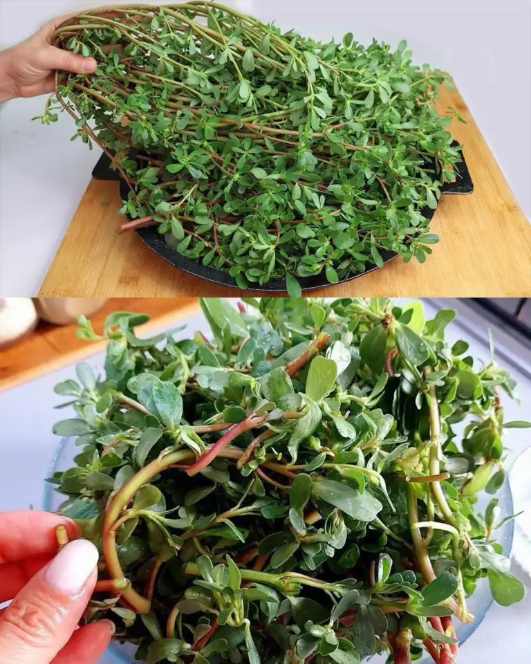 Image 2026 01 14 165226940