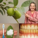 Image 2026 01 21 184146947