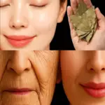 Image 2026 01 23 124316639