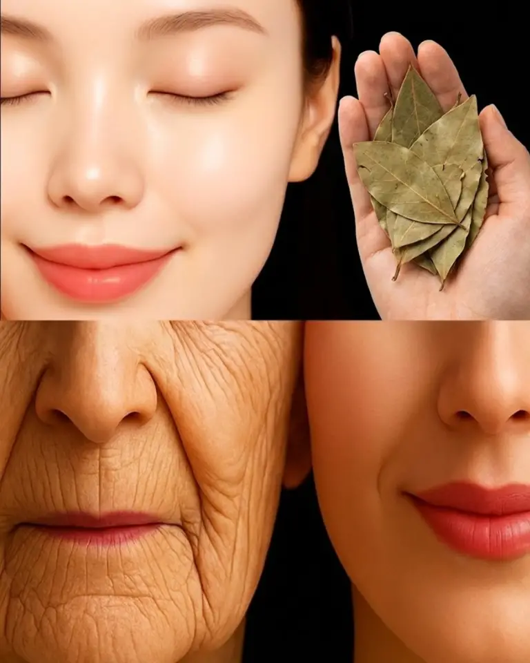 Image 2026 01 23 124316639