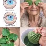 Image 2026 01 24 181429035