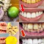 Image 2026 01 24 232927827