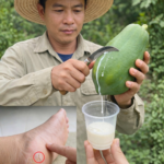 Image 2026 05 10