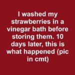 FB IMG
