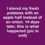 FB IMG